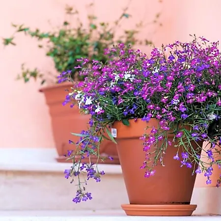 Bed and Breakfast Dei Mercanti