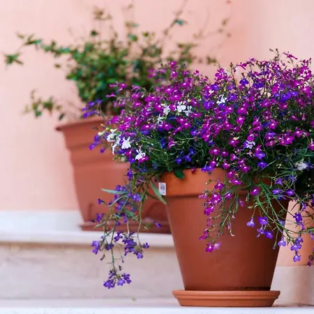 Bed and breakfast Dei Mercanti 4*